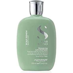 Alfaparf Scalp Care Energizing Shampoo